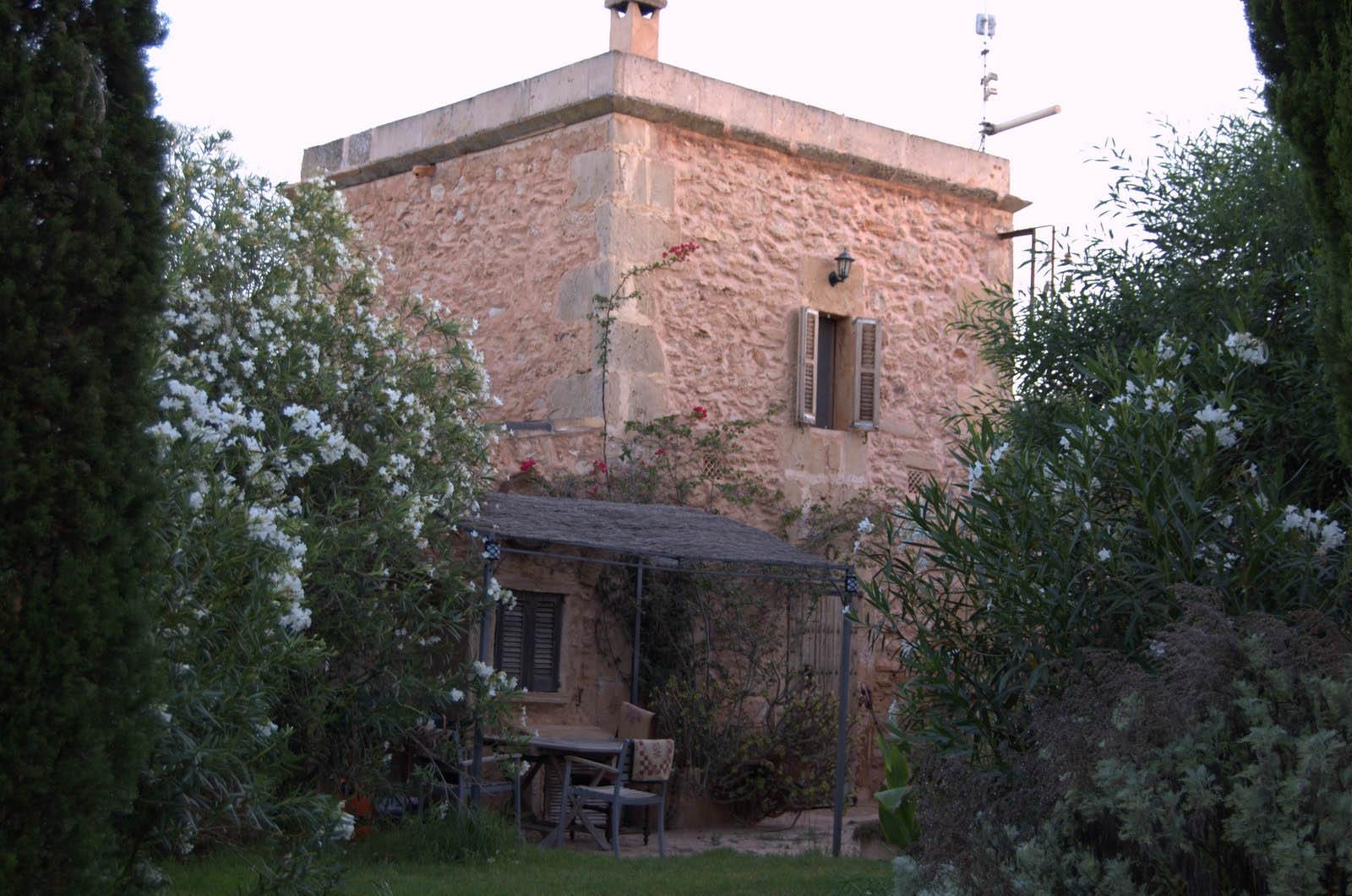 finca Urlaub Mallorca Haus vermieten Wohnung Bauernhof Palma Strand es trenc Schwimmbad Pferde sa rapita ses covetes Ferienvermietung Hochzeit Ferienvermietung Radfahren velo mallorca 100  