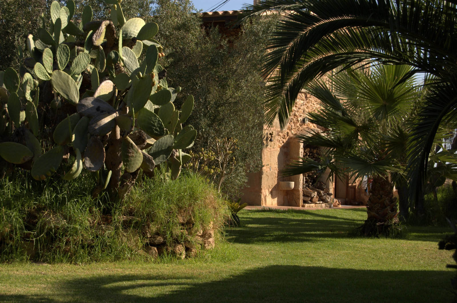 finca Urlaub Mallorca Haus vermieten Wohnung Bauernhof Palma Strand es trenc Schwimmbad Pferde sa rapita ses covetes Ferienvermietung Hochzeit Ferienvermietung Radfahren velo mallorca 240  