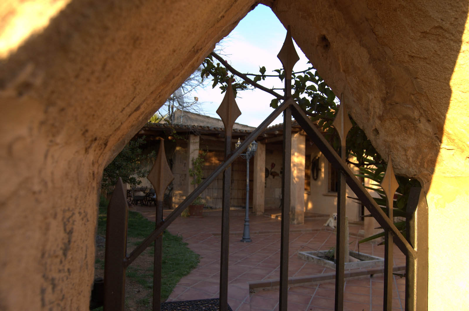 finca Urlaub Mallorca Haus vermieten Wohnung Bauernhof Palma Strand es trenc Schwimmbad Pferde sa rapita ses covetes Ferienvermietung Hochzeit Ferienvermietung Radfahren velo mallorca 265  