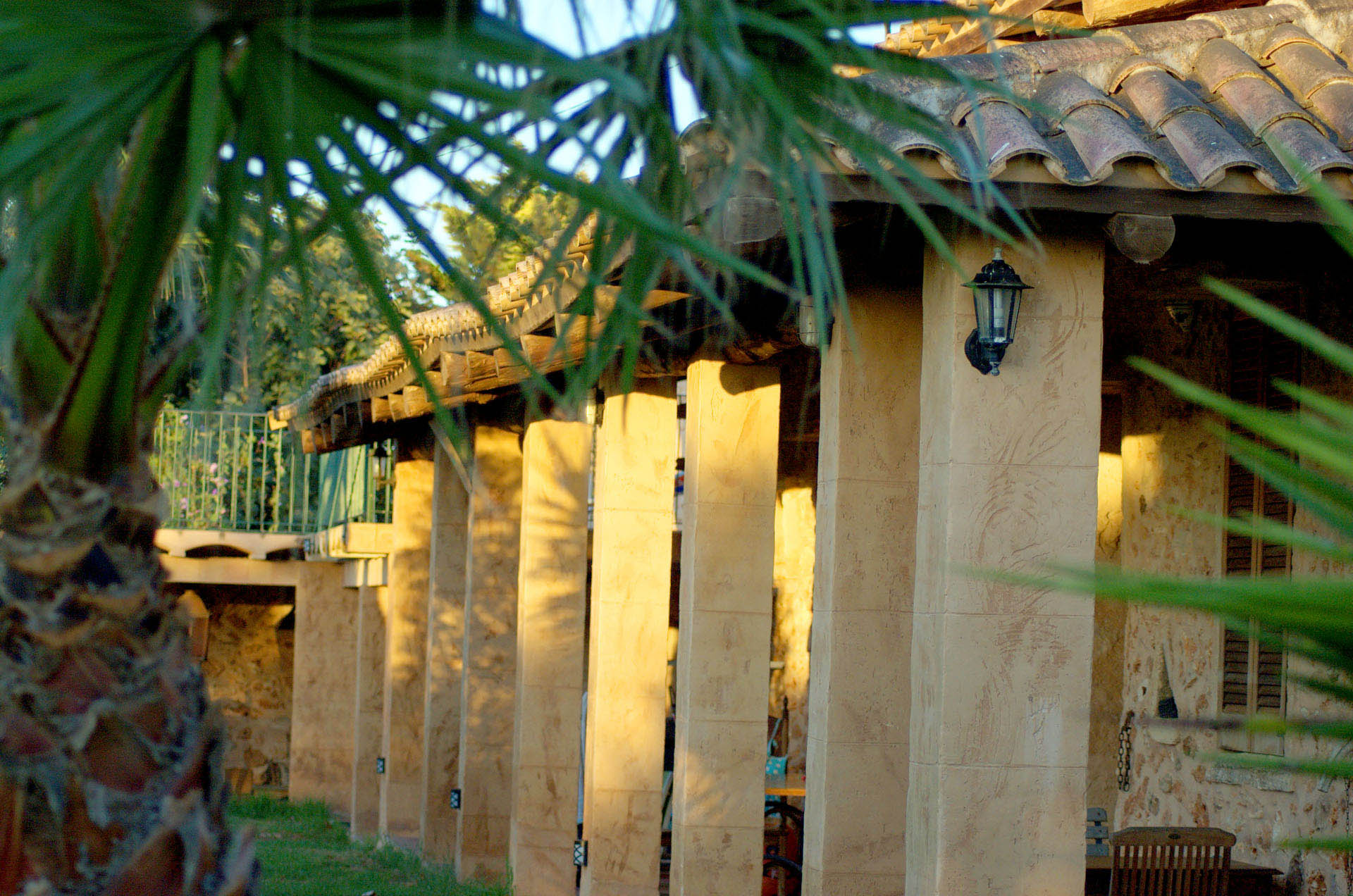 finca Urlaub Mallorca Haus vermieten Wohnung Bauernhof Palma Strand es trenc Schwimmbad Pferde sa rapita ses covetes Ferienvermietung Hochzeit Ferienvermietung Radfahren velo mallorca 60  