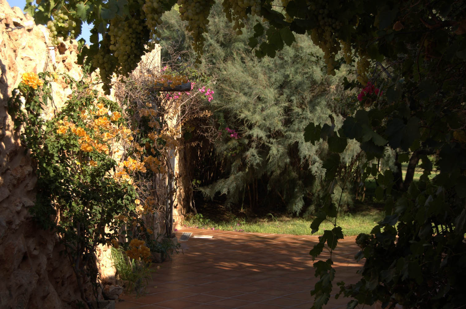 house apartment Palma mallorca Beach es trenc swimming pool horses animals sa rapita ses covetes Finca holiday renting lettings property rent Events seminar cycling estrenc 036 