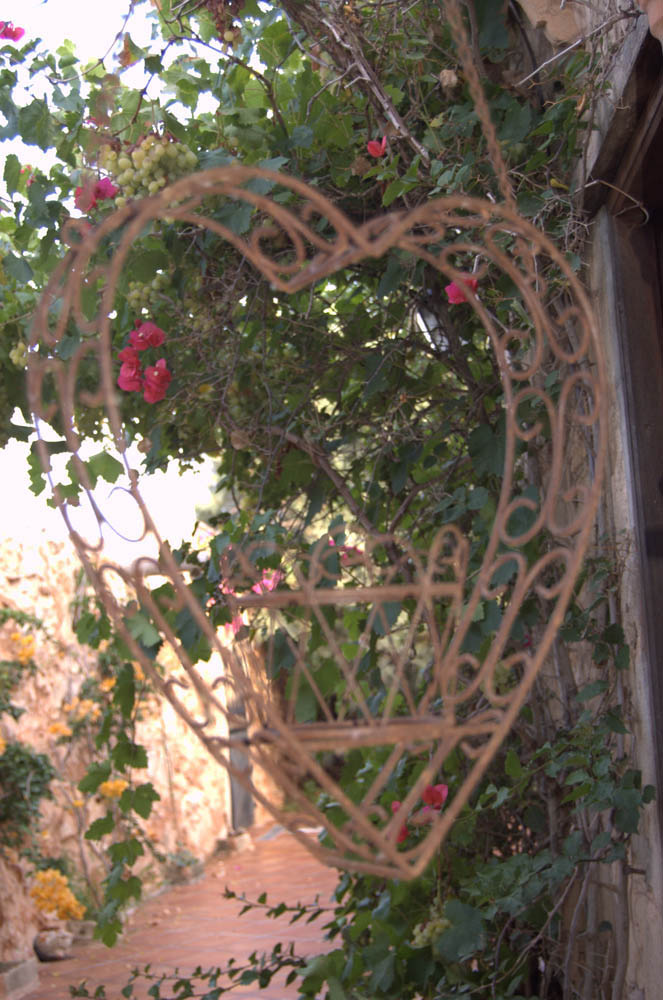 house apartment Palma mallorca Beach es trenc swimming pool horses animals sa rapita ses covetes Finca holiday renting lettings property rent Events seminar cycling estrenc 039 