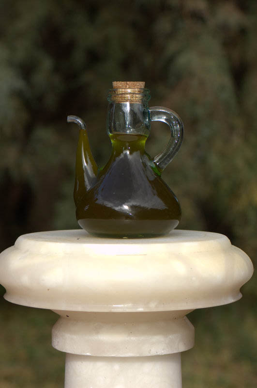 olive oil mallorca house apartment Palma Beach es trenc swimming pool horses animals sa rapita ses covetes Finca holiday renting lettings property rent Events seminar cycling 100 