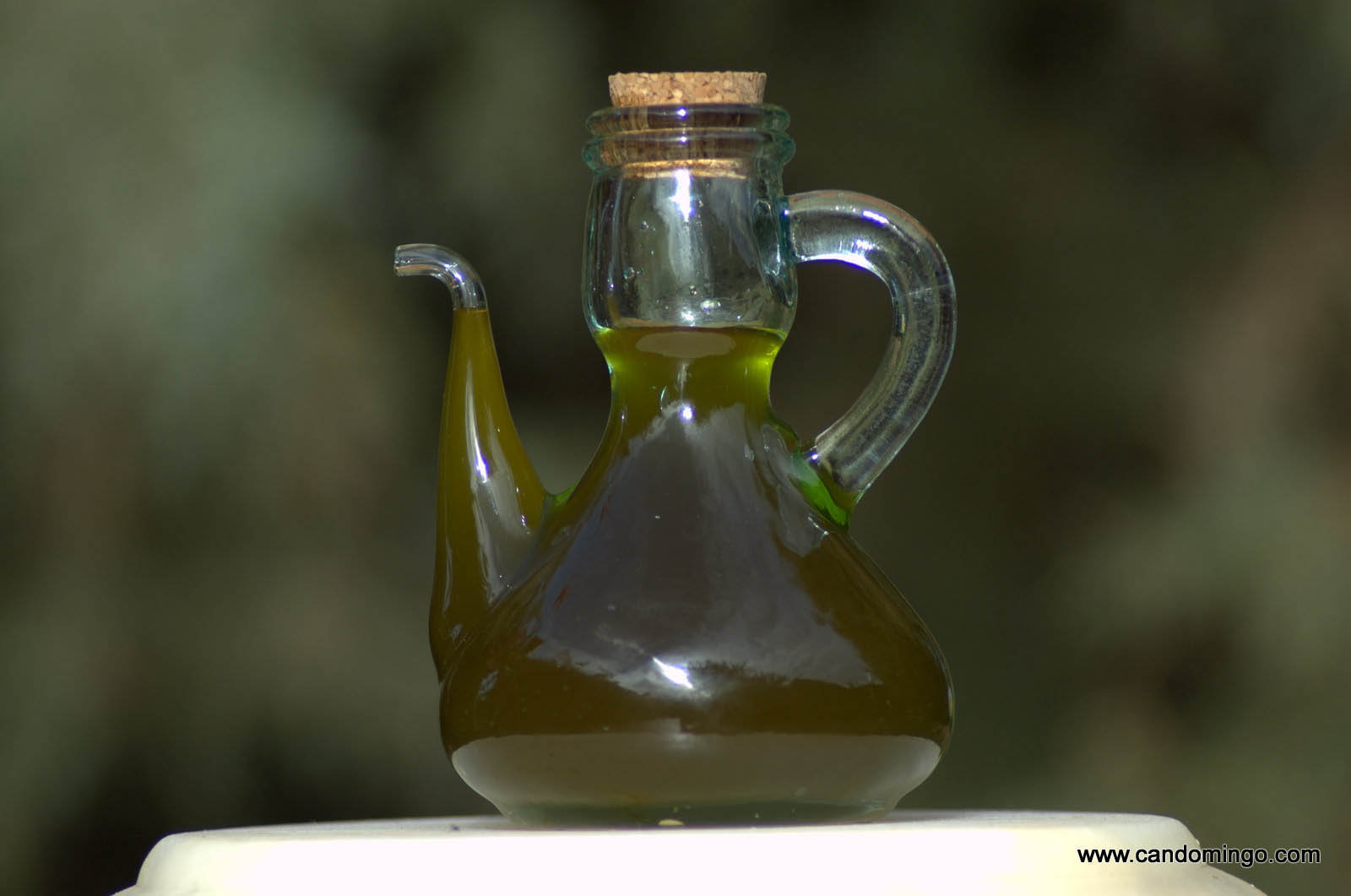 olive oil mallorca house apartment Palma Beach es trenc swimming pool horses animals sa rapita ses covetes Finca holiday renting lettings property rent Events seminar cycling 110 