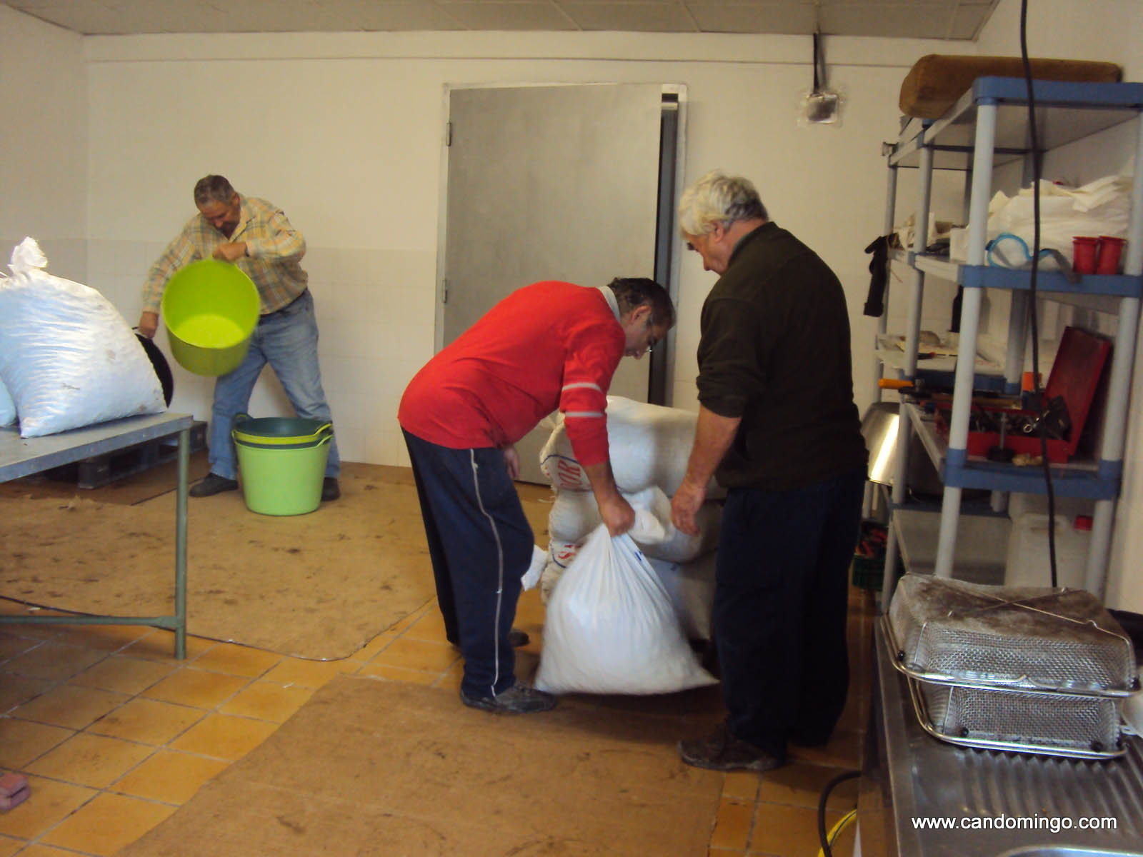 olive oil mallorca house apartment Palma Beach es trenc swimming pool horses animals sa rapita ses covetes Finca holiday renting lettings property rent Events seminar cycling 40 