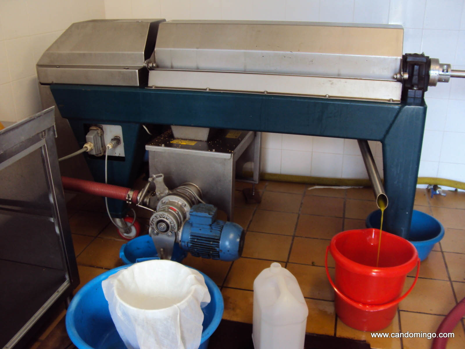 olive oil mallorca house apartment Palma Beach es trenc swimming pool horses animals sa rapita ses covetes Finca holiday renting lettings property rent Events seminar cycling 85 