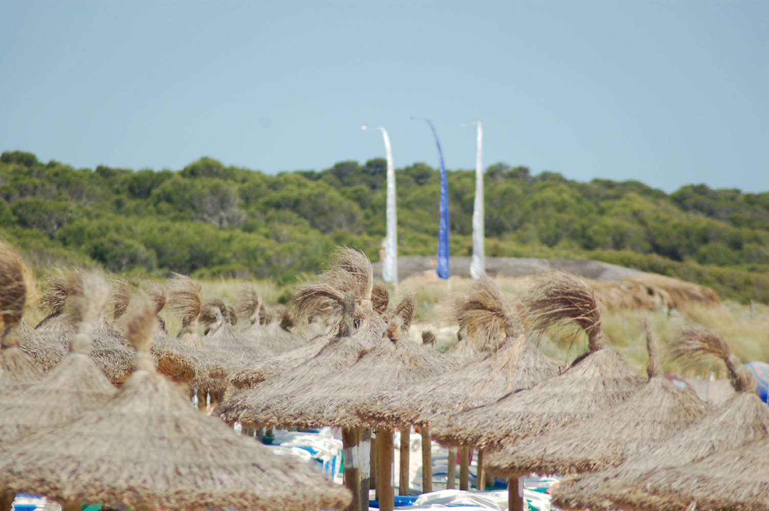 es trenc beach estrenc plage spiaggia strand playa es trenc ranta es trenc 002 