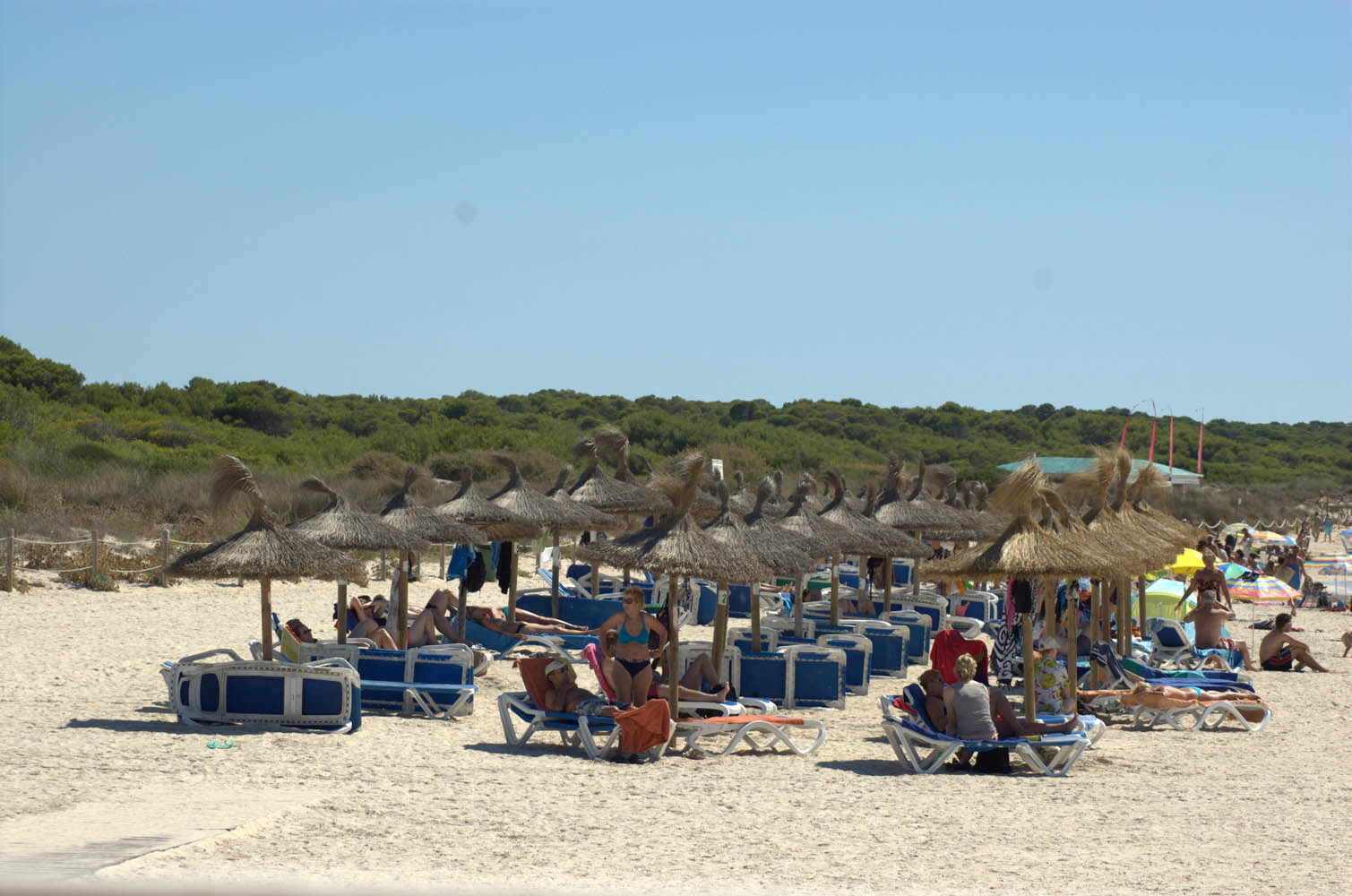 es trenc beach estrenc plage spiaggia strand playa es trenc ranta es trenc 013 