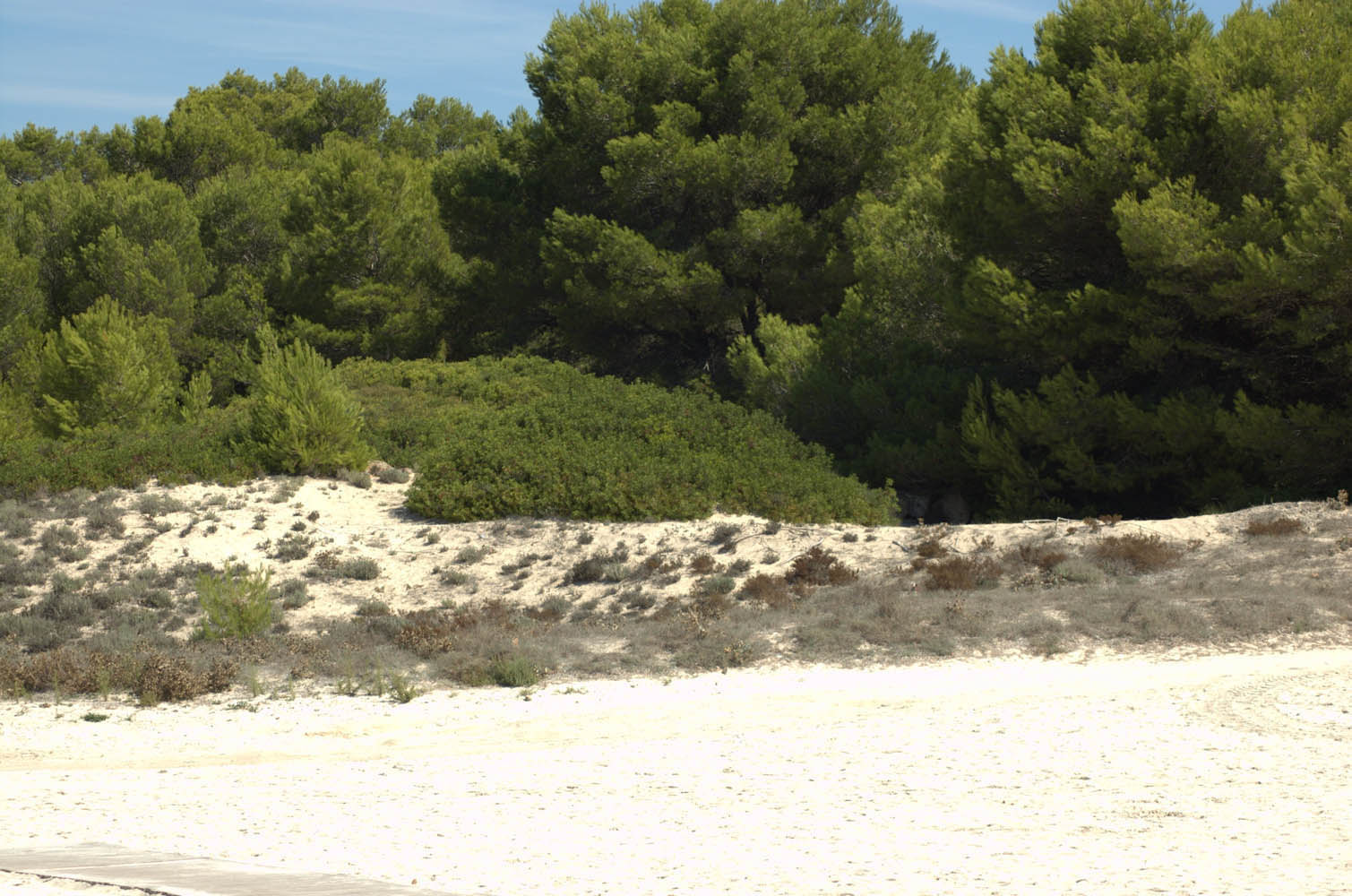 es trenc beach estrenc plage spiaggia strand playa es trenc ranta es trenc 015 