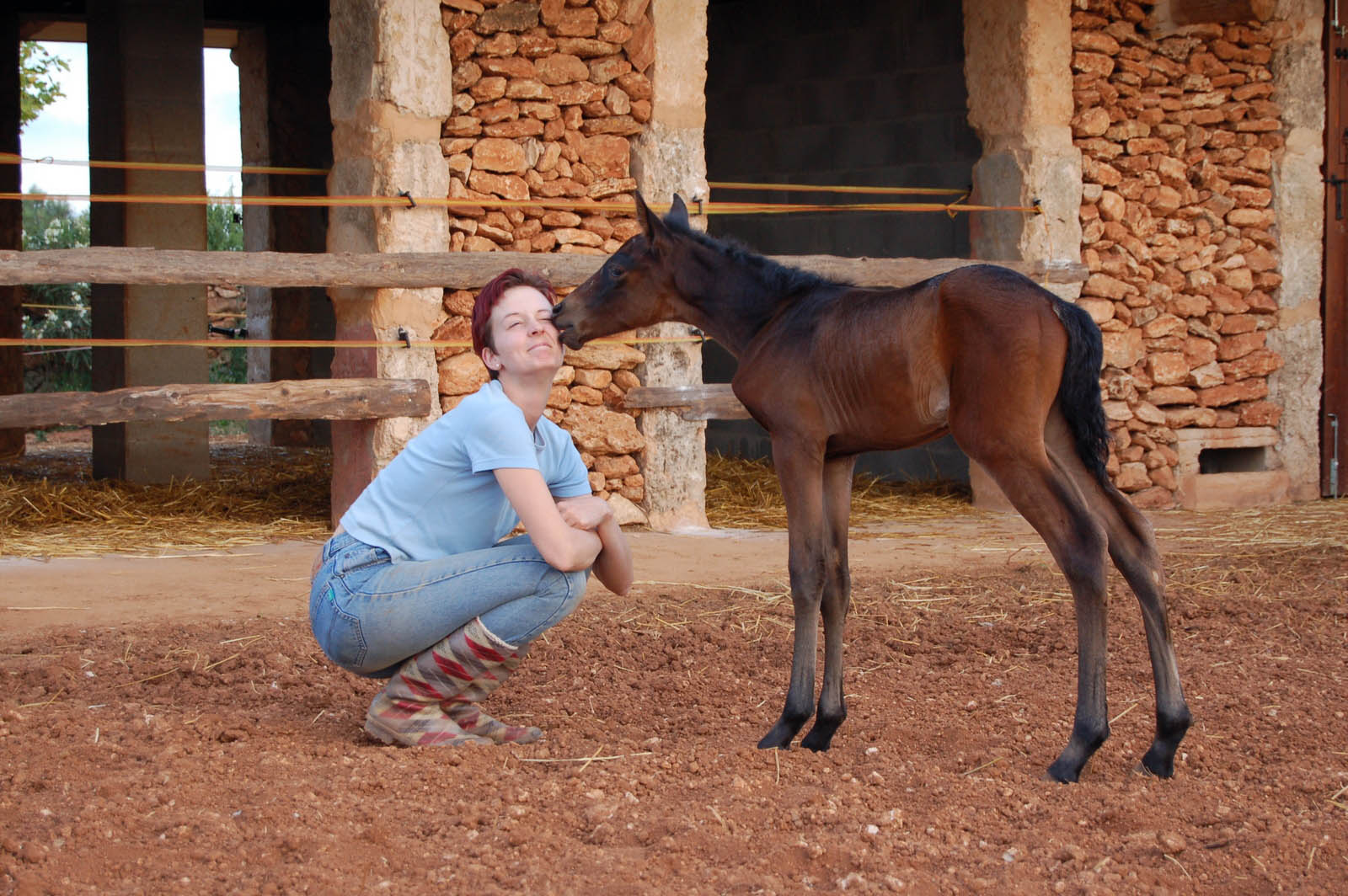 palma majorque mallorca plage es trenc logement a la ferme sa rapita ses covetes finca piscine location vacances propriete a louer event seminaire reunion golfe mariage stage velo chevaux 01 