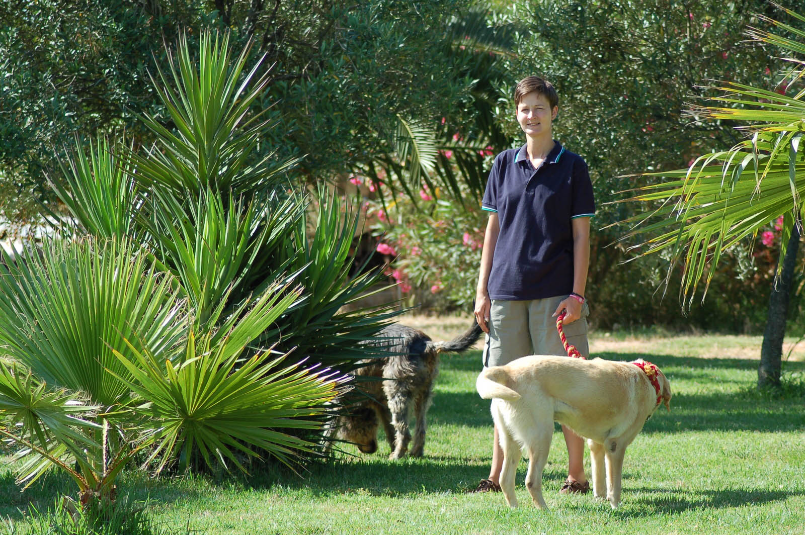 palma majorque mallorca plage es trenc logement a la ferme sa rapita ses covetes finca piscine location vacances propriete a louer event seminaire reunion golfe mariage stage velo chevaux estrenc 004 