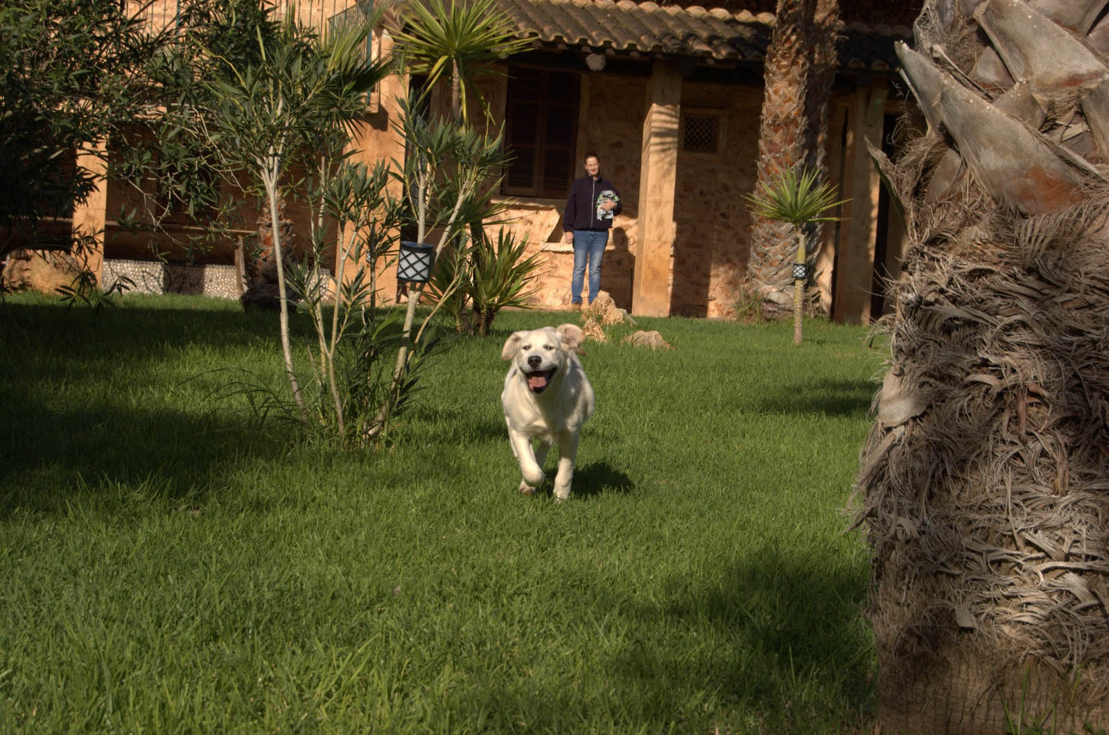 palma majorque mallorca plage es trenc logement a la ferme sa rapita ses covetes finca piscine location vacances propriete a louer event seminaire reunion golfe mariage stage velo chevaux estrenc 019 