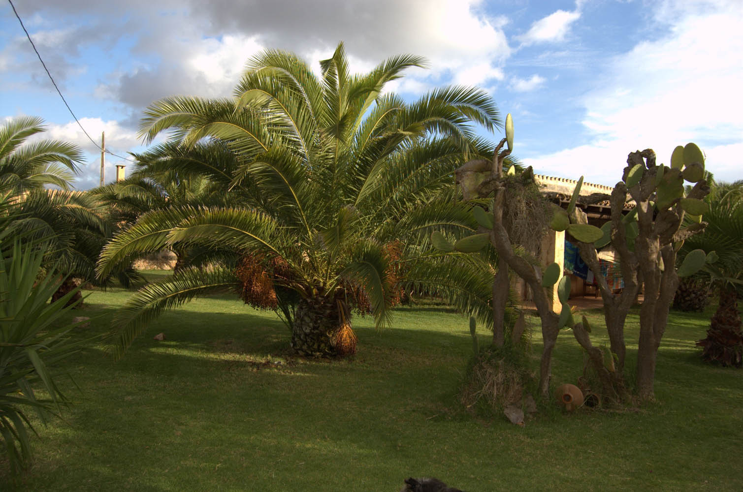 palma majorque mallorca plage es trenc logement a la ferme sa rapita ses covetes finca piscine location vacances propriete a louer event seminaire reunion golfe mariage stage velo chevaux estrenc-002 