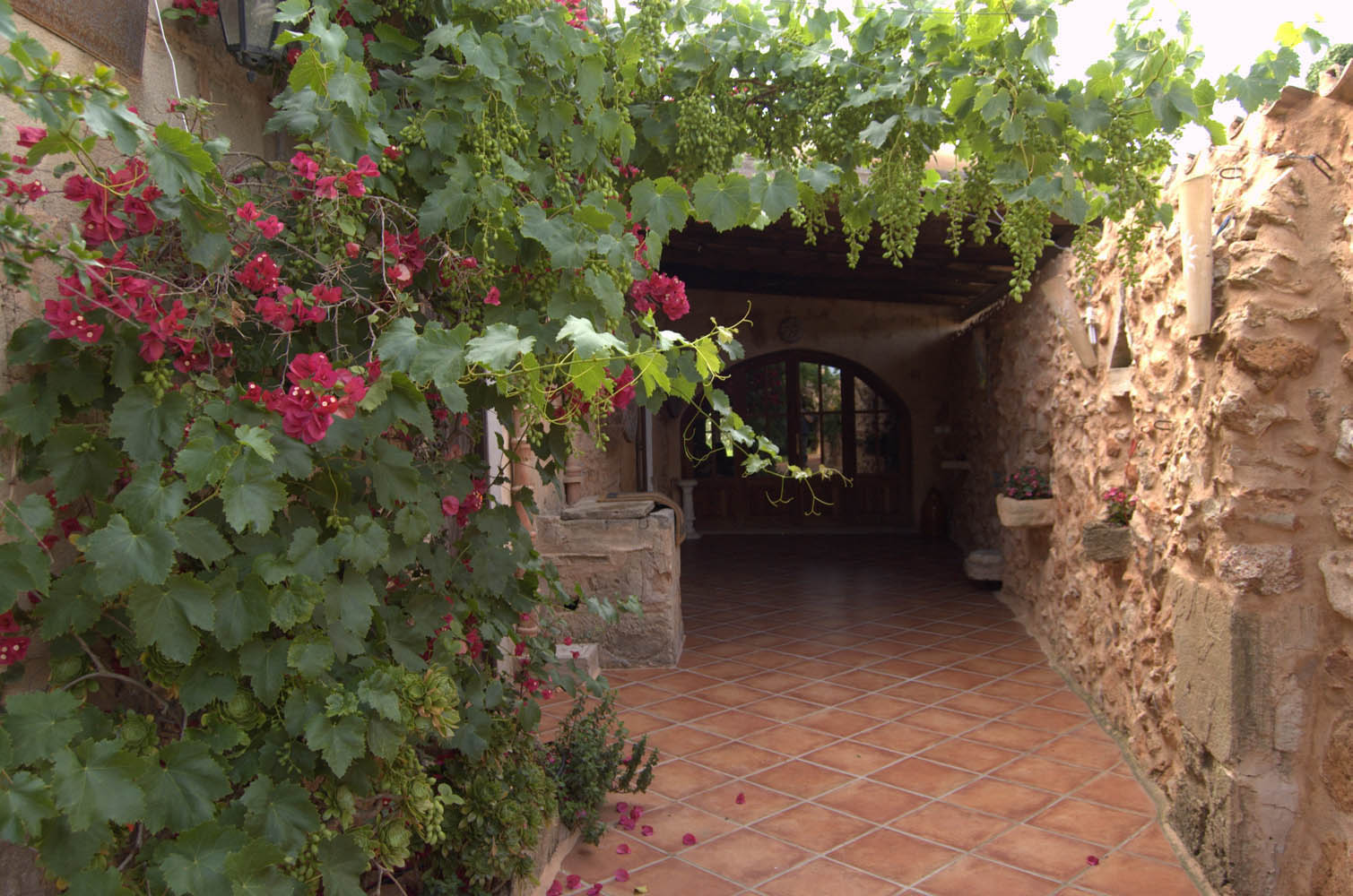 palma majorque mallorca plage es trenc logement a la ferme sa rapita ses covetes finca piscine location vacances propriete a louer event seminaire reunion golfe mariage stage velo chevaux estrenc-003 
