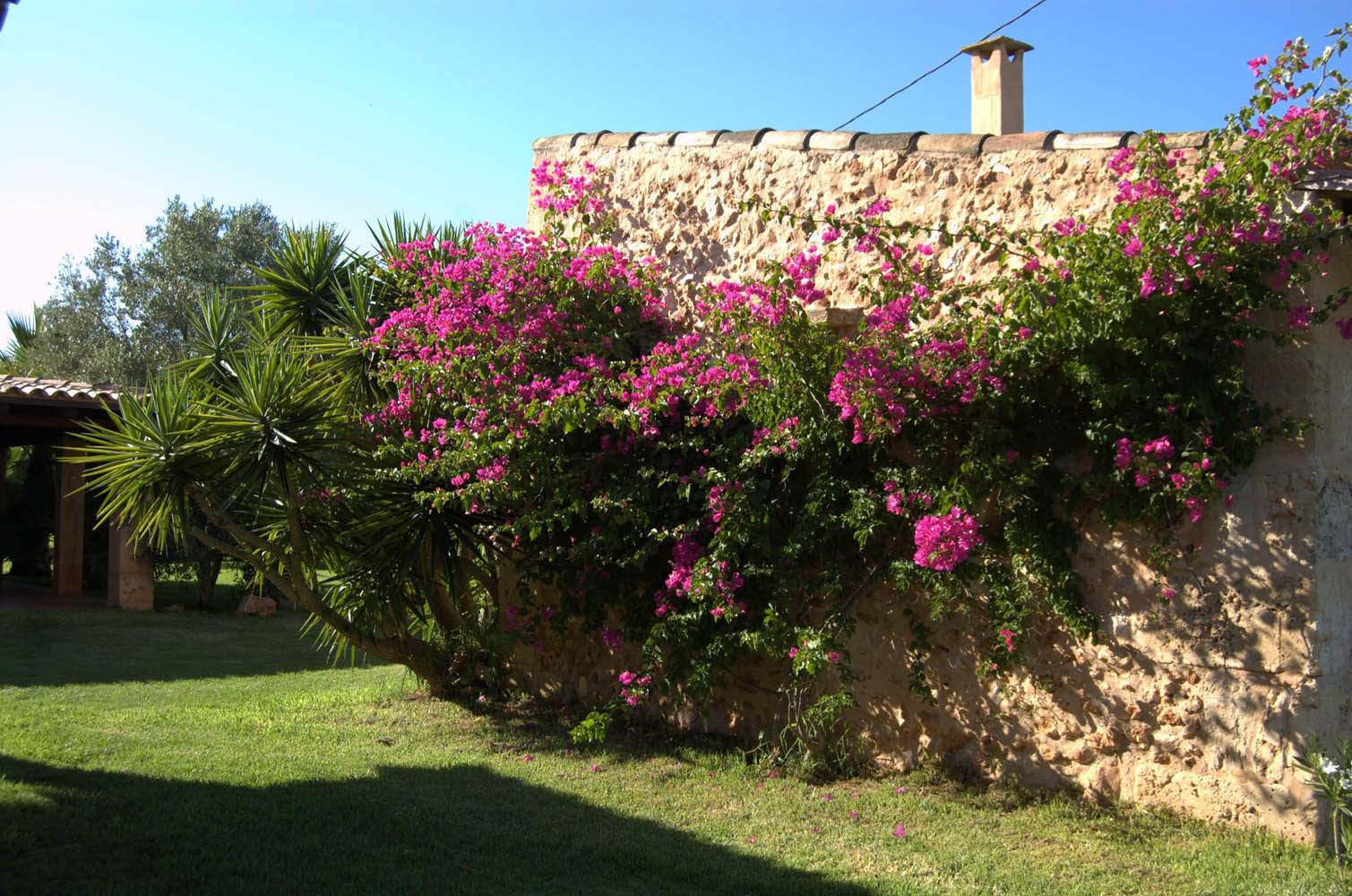 palma majorque mallorca plage es trenc logement a la ferme sa rapita ses covetes finca piscine location vacances propriete a louer event seminaire reunion golfe mariage stage velo chevaux estrenc-005 
