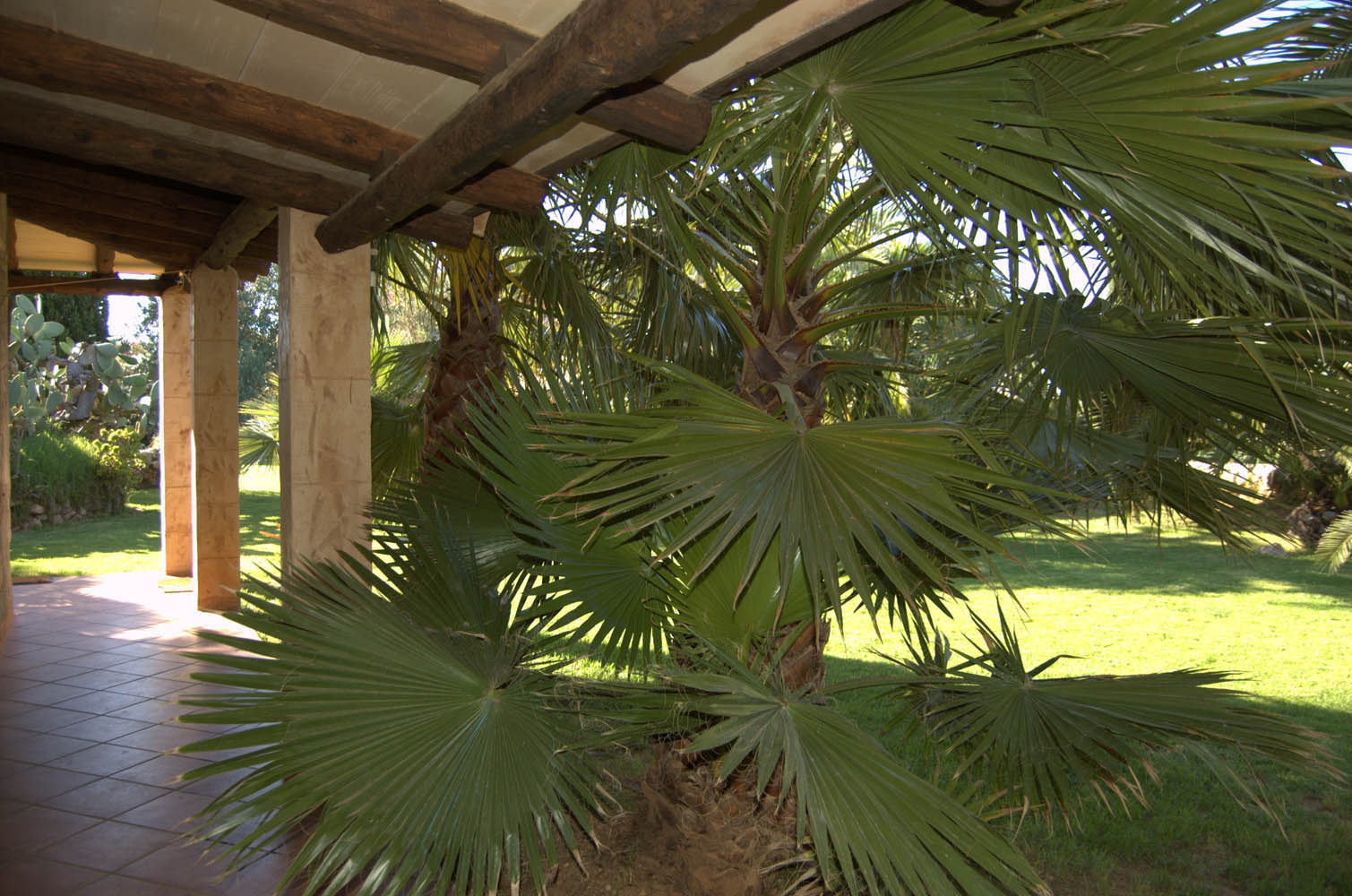 palma majorque mallorca plage es trenc logement a la ferme sa rapita ses covetes finca piscine location vacances propriete a louer event seminaire reunion golfe mariage stage velo chevaux estrenc-011 