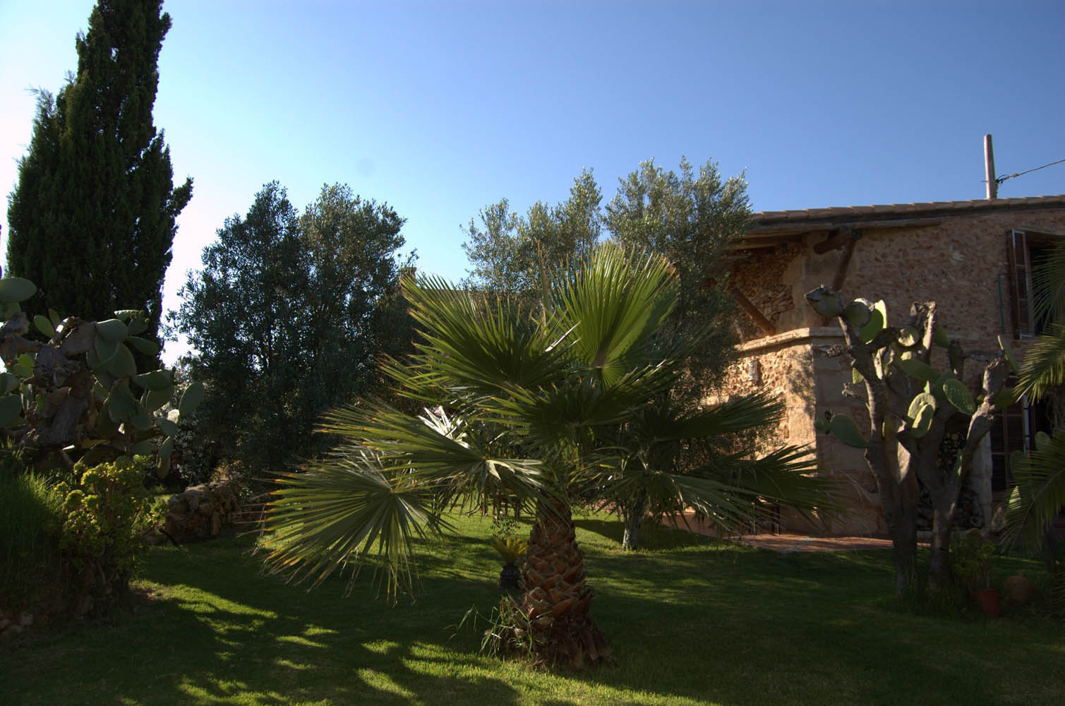 palma majorque mallorca plage es trenc logement a la ferme sa rapita ses covetes finca piscine location vacances propriete a louer event seminaire reunion golfe mariage stage velo chevaux estrenc-014 