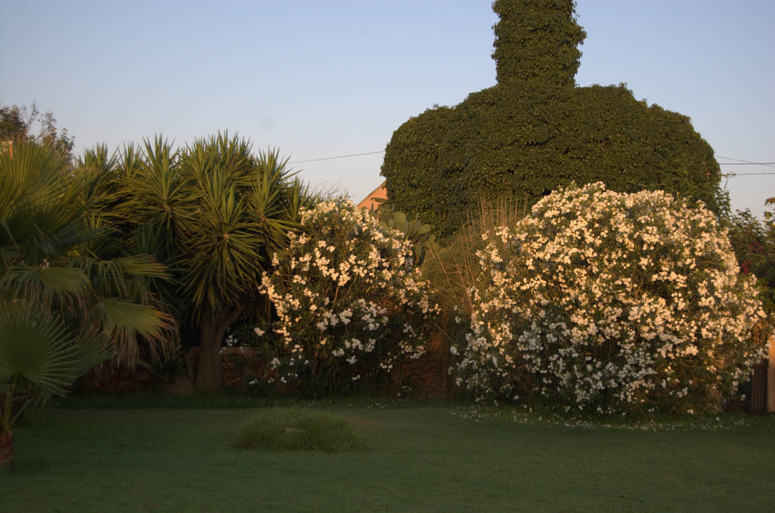 palma majorque mallorca plage es trenc logement a la ferme sa rapita ses covetes finca piscine location vacances propriete a louer event seminaire reunion golfe mariage stage velo chevaux estrenc-022 