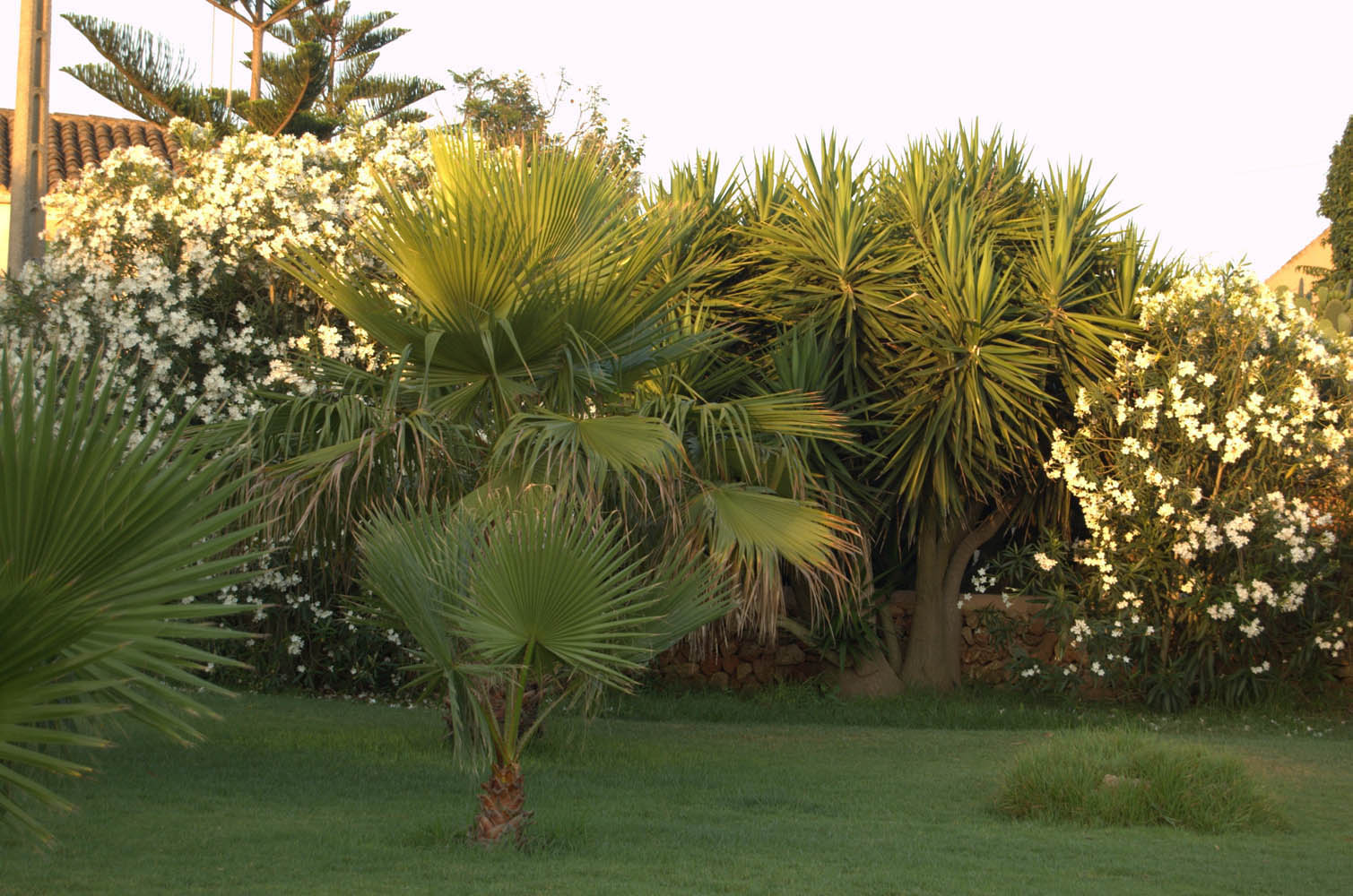 palma majorque mallorca plage es trenc logement a la ferme sa rapita ses covetes finca piscine location vacances propriete a louer event seminaire reunion golfe mariage stage velo chevaux estrenc-023 