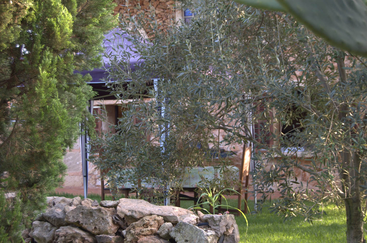 palma majorque mallorca plage es trenc logement a la ferme sa rapita ses covetes finca piscine location vacances propriete a louer event seminaire reunion golfe mariage stage velo chevaux estrenc-045 