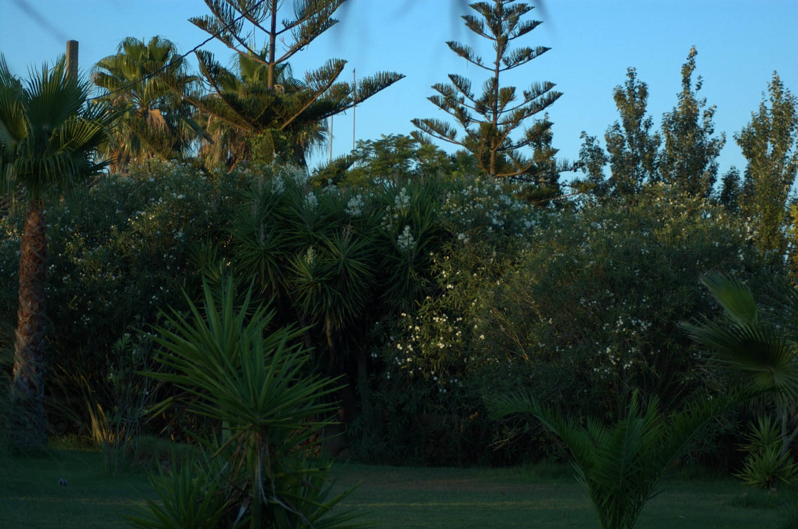 palma majorque mallorca plage es trenc logement a la ferme sa rapita ses covetes finca piscine location vacances propriete a louer event seminaire reunion golfe mariage stage velo chevaux estrenc-054 