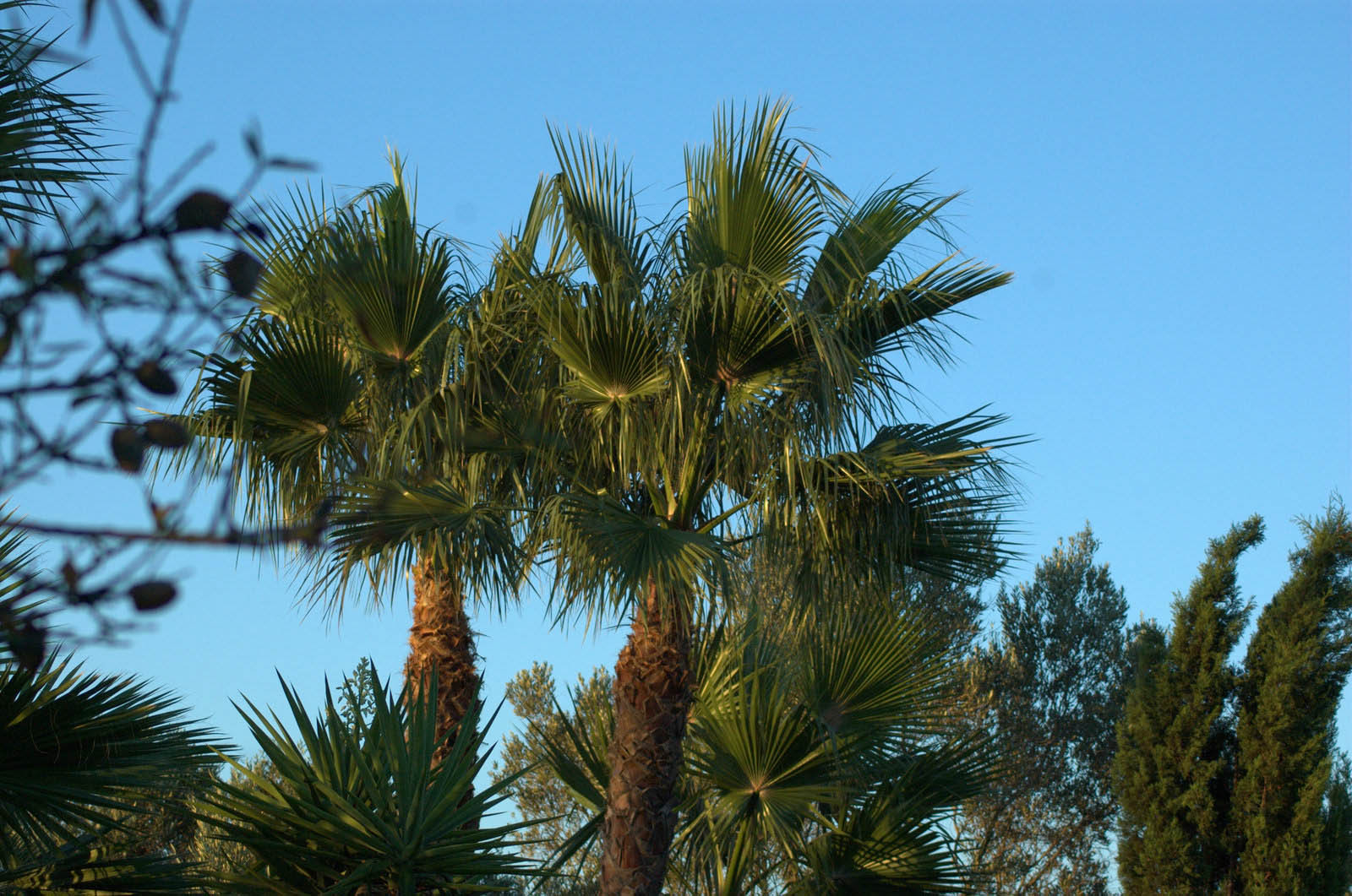 palma majorque mallorca plage es trenc logement a la ferme sa rapita ses covetes finca piscine location vacances propriete a louer event seminaire reunion golfe mariage stage velo chevaux estrenc-055 
