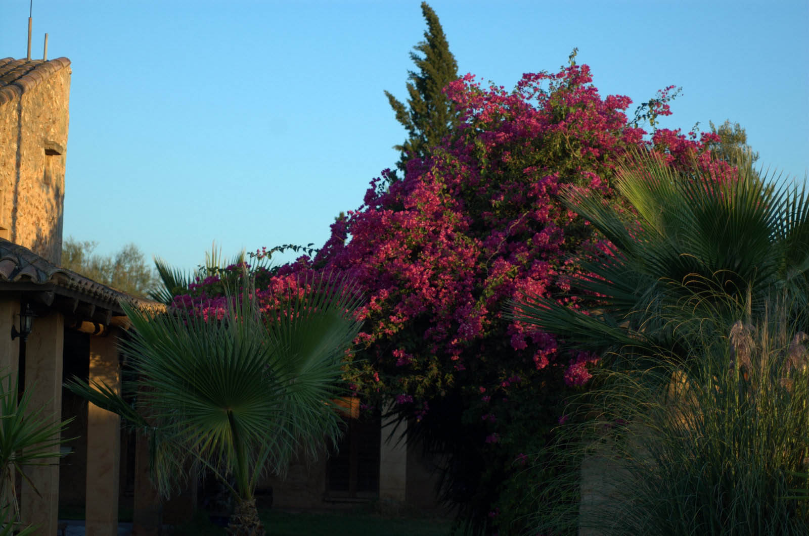 palma majorque mallorca plage es trenc logement a la ferme sa rapita ses covetes finca piscine location vacances propriete a louer event seminaire reunion golfe mariage stage velo chevaux estrenc-056 