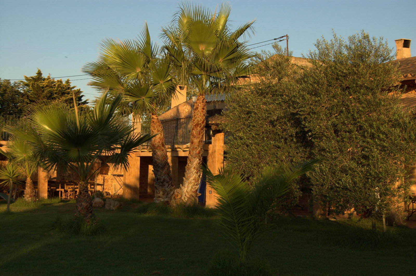 palma majorque mallorca plage es trenc logement a la ferme sa rapita ses covetes finca piscine location vacances propriete a louer event seminaire reunion golfe mariage stage velo chevaux estrenc-060 