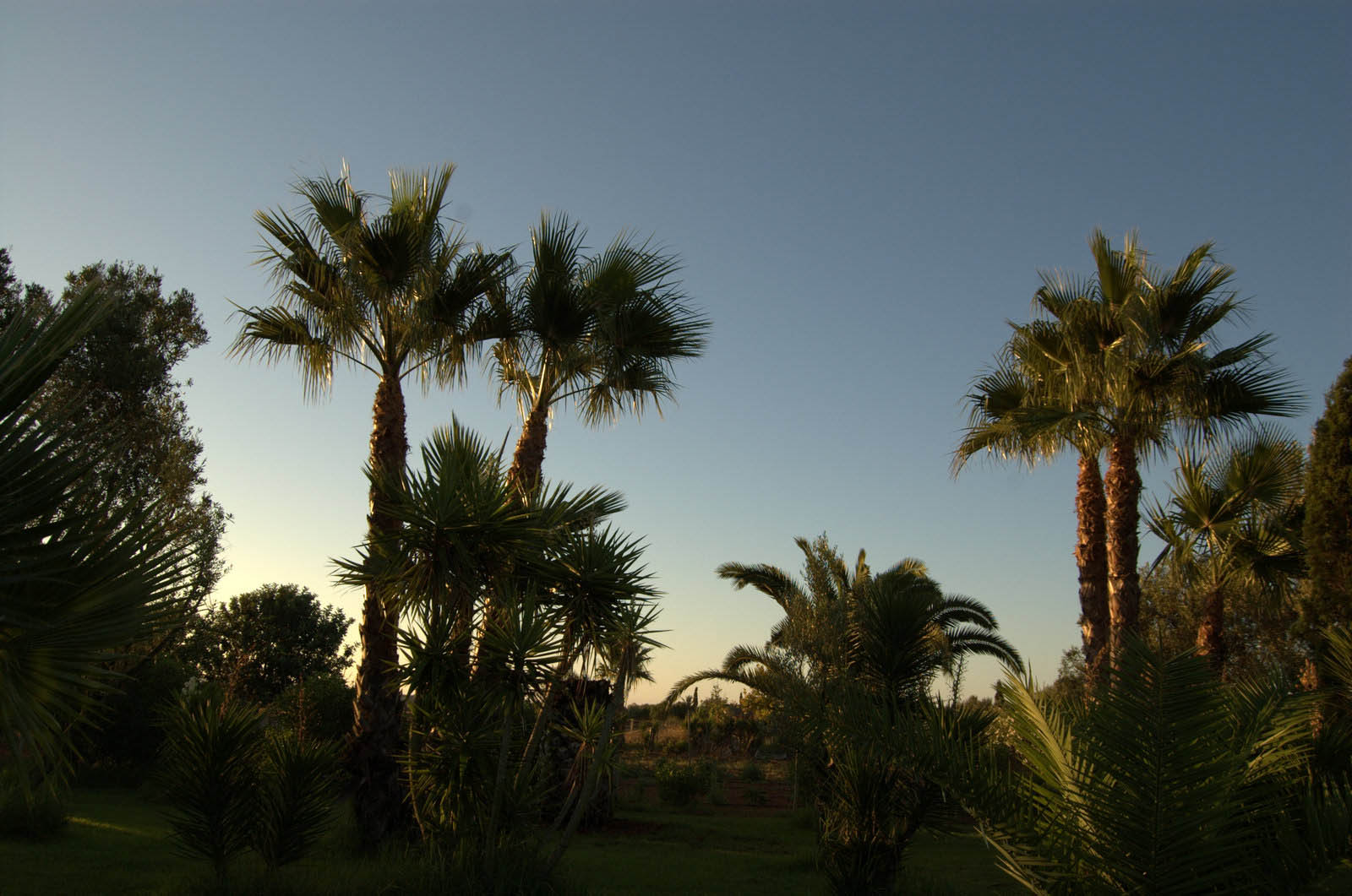 palma majorque mallorca plage es trenc logement a la ferme sa rapita ses covetes finca piscine location vacances propriete a louer event seminaire reunion golfe mariage stage velo chevaux estrenc-061 