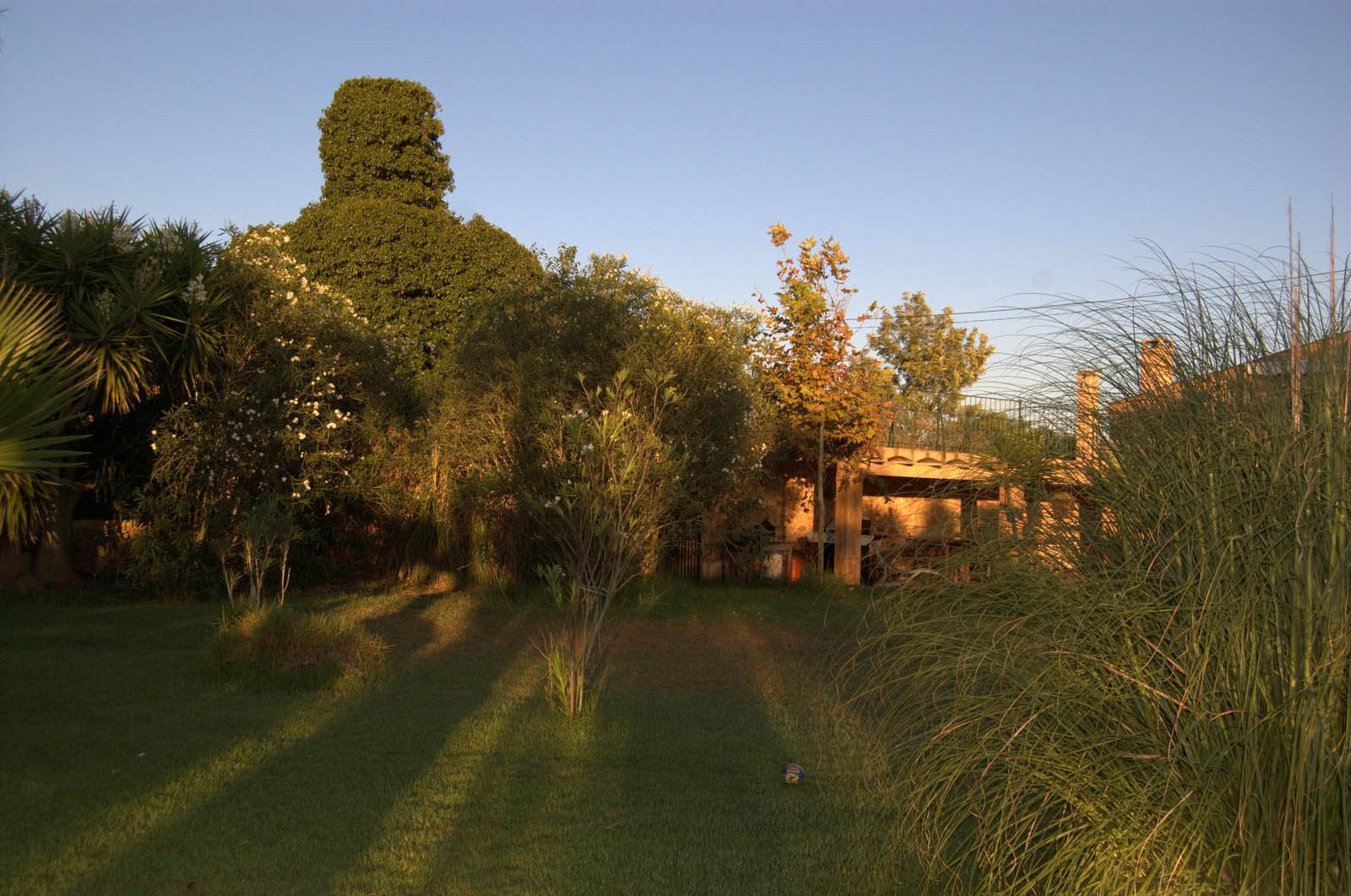 palma majorque mallorca plage es trenc logement a la ferme sa rapita ses covetes finca piscine location vacances propriete a louer event seminaire reunion golfe mariage stage velo chevaux estrenc-063 