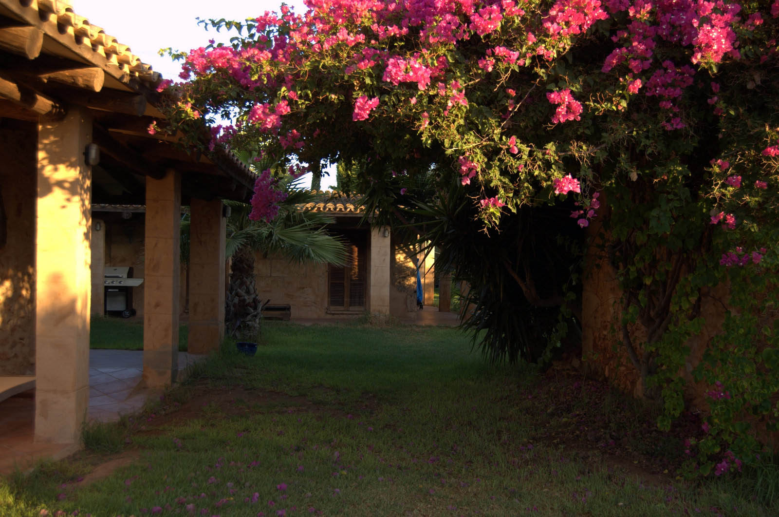 palma majorque mallorca plage es trenc logement a la ferme sa rapita ses covetes finca piscine location vacances propriete a louer event seminaire reunion golfe mariage stage velo chevaux estrenc-065 