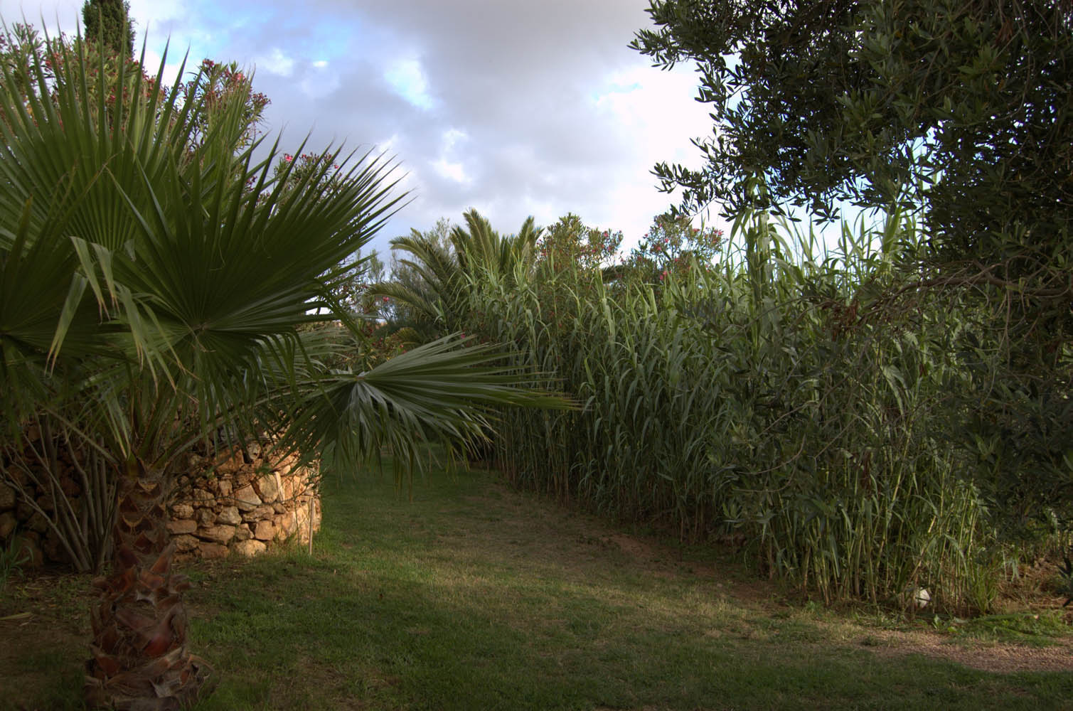 palma majorque mallorca plage es trenc logement a la ferme sa rapita ses covetes finca piscine location vacances propriete a louer event seminaire reunion golfe mariage stage velo chevaux estrenc 