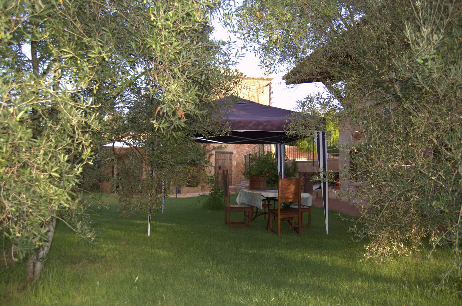 palma majorque mallorca plage es trenc logement a la ferme sa rapita ses covetes finca piscine location vacances propriete a louer event seminaire reunion golfe mariage stage velo chevaux estrenc 040 