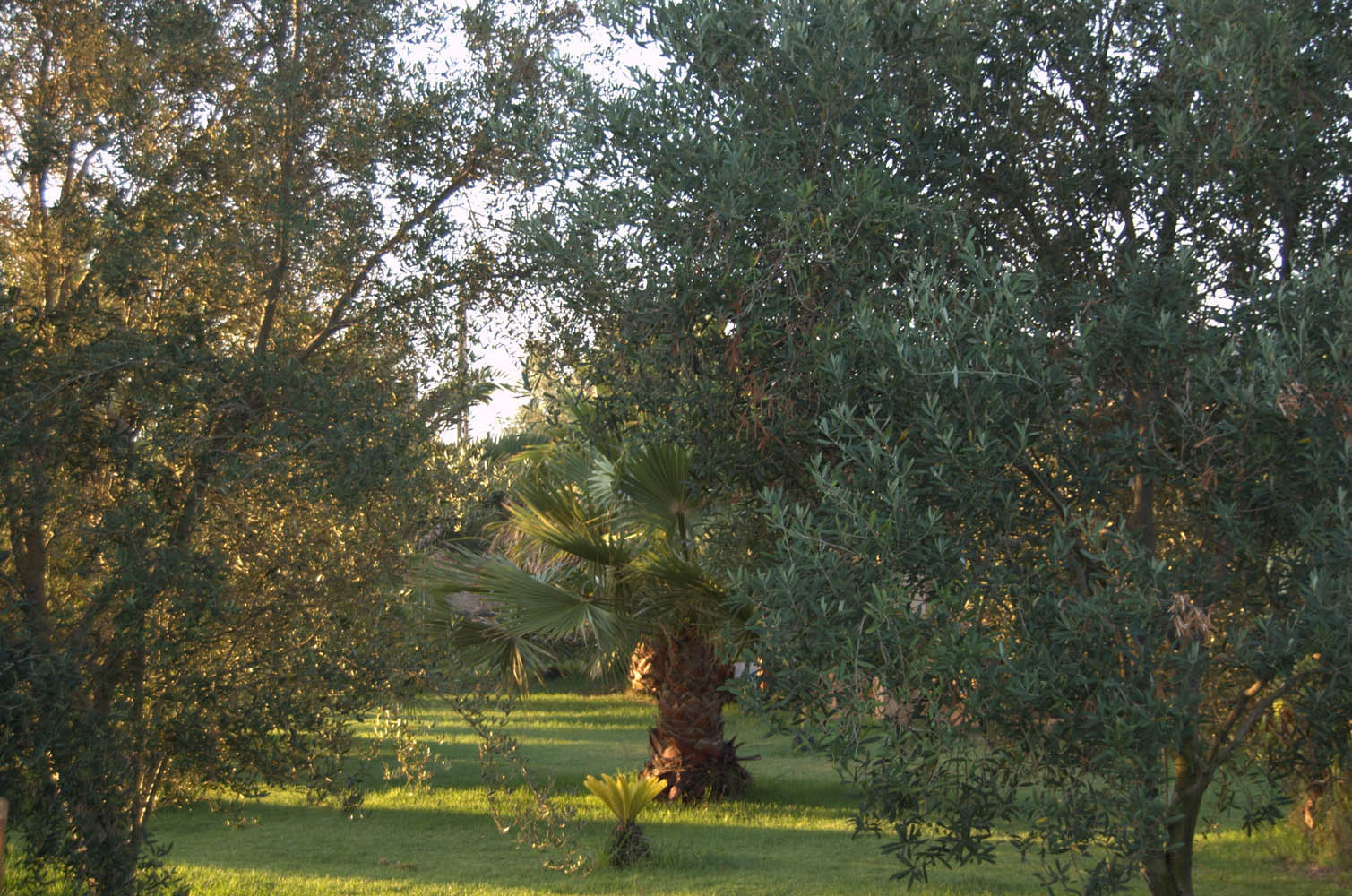 palma mallorca es Trenc strand vakantiewoningen huis villa boerenwoning appartement huisvesting pool Sa Rapita Ses Covetes finca evenementen plattelandstoerisme huwelijk wielersport fietstraining estrenc-028 