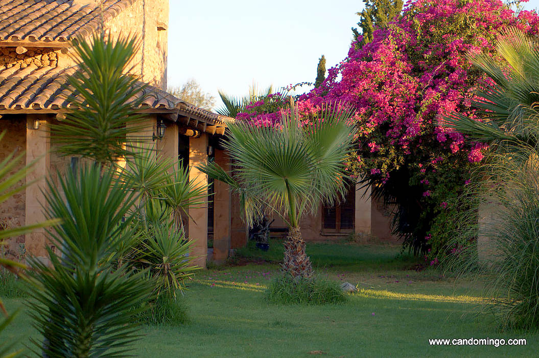 finca-Urlaub-Mallorca-Haus-vermieten-Wohnung-Bauernhof-Palma-Strand-es-trenc-Schwimmbad-Pferde-sa-rapita-ses-covetes-Ferienvermietung-Hochzeit-Ferienvermietung-Radfahren-velo-mallorca-s4