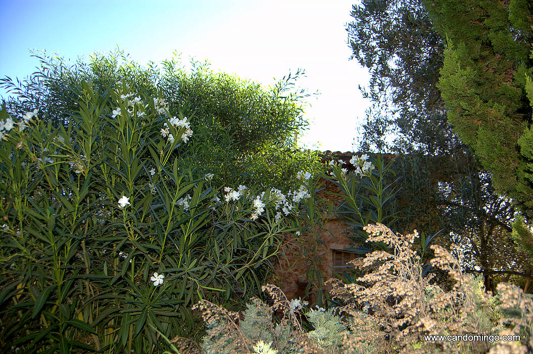 casa-apartamento-vivienda-Palma-Mallorca-playa-de-es-Trenc-piscina-animales-sa-rapita-Ses-Covetes-finca-Alquiler-vacaciones-mansion-en-alquiler-evento-seminario-vacacional-bikes-ciclo-n016