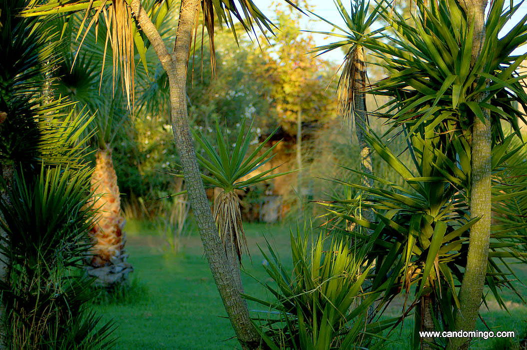 logement-ferme-palma-majorque-mallorca-plage-es-trenc-sa-rapita-ses-covetes-finca-piscine-location-vacances-propriete-a-louer-event-seminaire-reunion-cyclisme-mariage-stage-velo-314