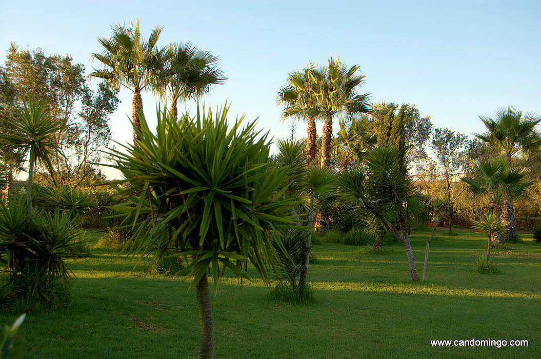 logement-ferme-palma-majorque-mallorca-plage-es-trenc-sa-rapita-ses-covetes-finca-piscine-location-vacances-propriete-a-louer-event-seminaire-reunion-cyclisme-mariage-stage-velo-308