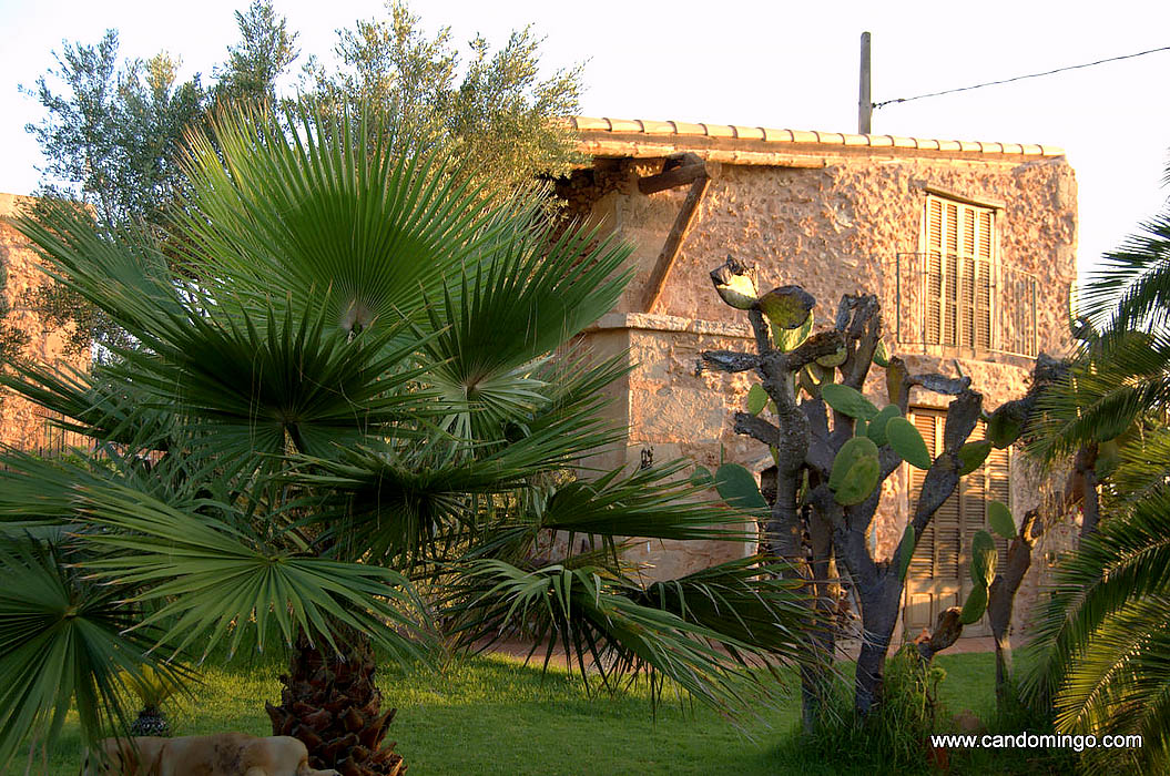 logement-ferme-palma-majorque-mallorca-plage-es-trenc-sa-rapita-ses-covetes-finca-piscine-location-vacances-propriete-a-louer-event-seminaire-reunion-cyclisme-mariage-stage-velo-a013