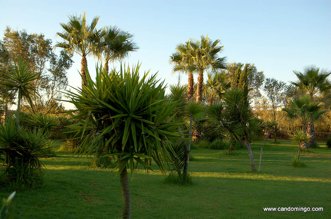 casa-locazione-Villa-appartamento-abitazioni-Palma-Maiorca-Mallorca-spiaggia-Es-Trenc-piscina-Sa Rapita-Ses Covetes-finca-case-vacanze-proprieta-in affitto-cyclo-percorso-ciclistico-tour-bh035