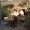 logement-ferme-palma-majorque-mallorca-plage-es-trenc-sa-rapita-ses-covetes-finca-piscine-location-vacances-propriete-a-louer-event-seminaire-reunion-cyclisme-mariage-stage-velo-26